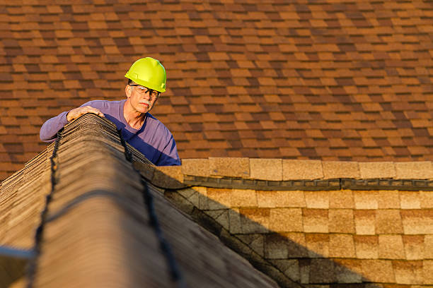 Best Roof Gutter Cleaning  in Old Mystic, CT
